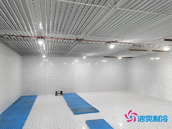 建設(shè)一個(gè)海鮮低溫冷庫造價(jià)多少錢一平方？