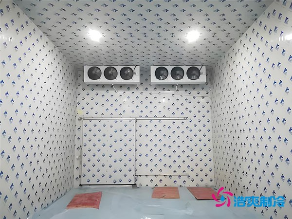 100平方冷凍庫設計安裝造價多少錢？