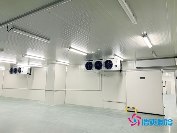 建造500平方米冷藏庫的造價及相關因素分析