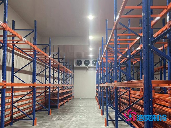 建中型冷庫要花多少錢？這些關(guān)鍵因素你必須知道-浩爽制冷