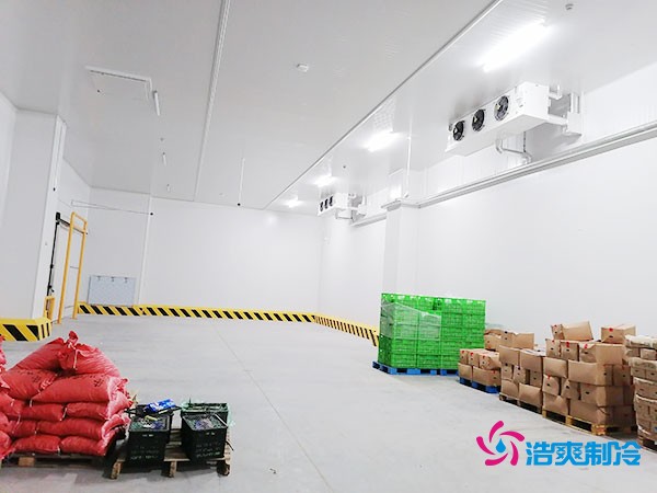 70萬建500平果蔬冷庫？揭秘氣調保鮮關鍵成本！