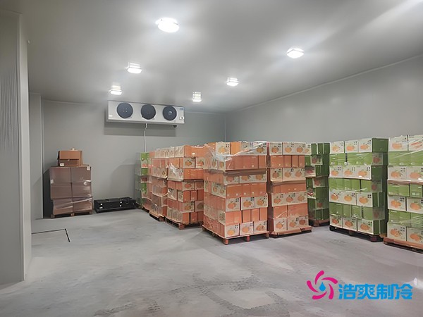 1000噸果蔬保鮮庫(kù)造價(jià)揭秘，節(jié)省成本就靠這幾點(diǎn)！