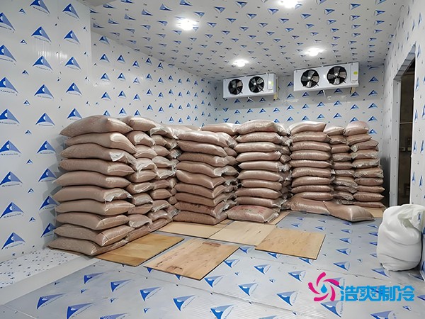 2萬起建種子冷庫？這些因素讓造價(jià)翻倍！