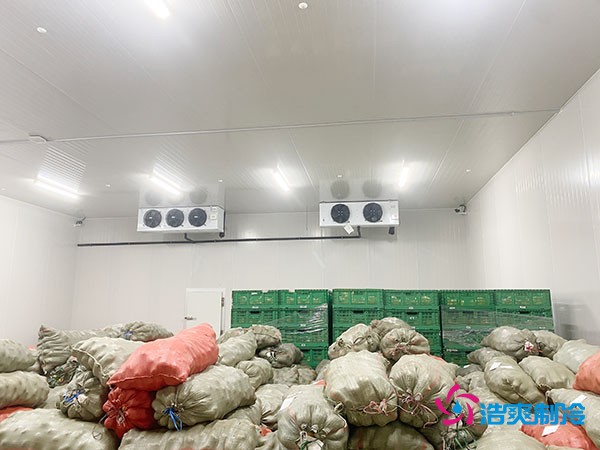 500平果蔬冷庫(kù)造價(jià)曝光！35萬(wàn)起建，省錢秘訣在這里！