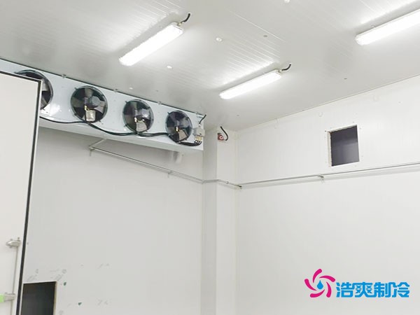 上海小型冷庫造價揭秘！2萬起真的靠譜嗎？