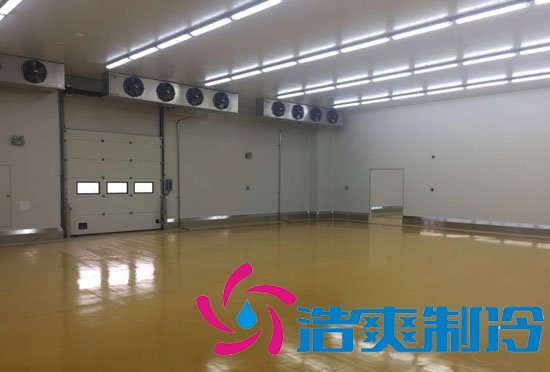 港口冷鏈冷庫市場趨勢和現(xiàn)狀，萬噸港口冷鏈低溫倉儲造價預(yù)算