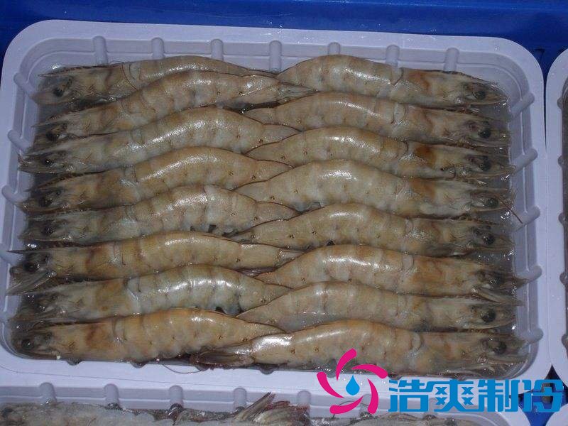 -18℃~-25℃冷凍食品低溫倉儲設(shè)備安裝費用多少錢